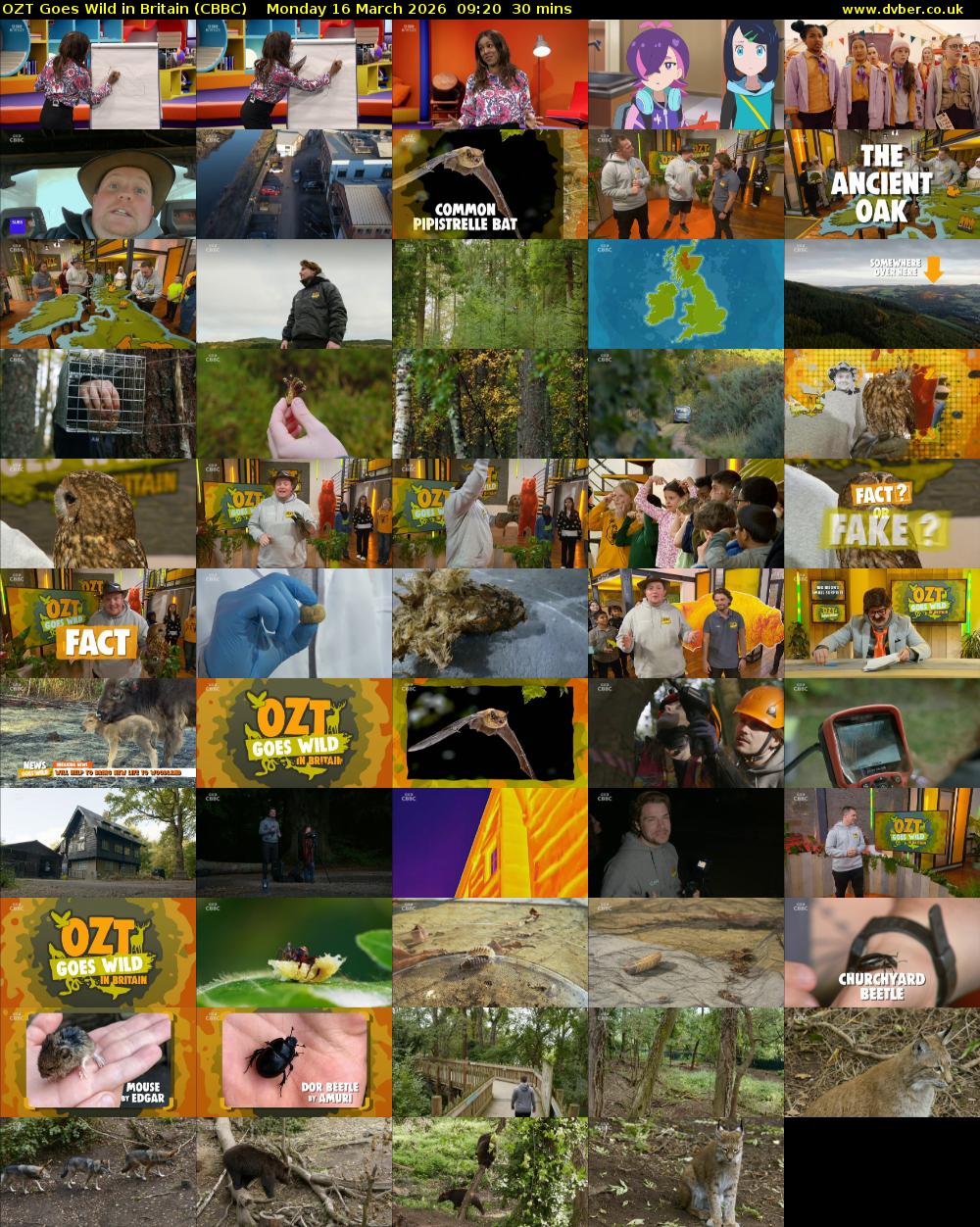 OZT Goes Wild in Britain (CBBC) Monday 16 March 2026 09:20 - 09:50