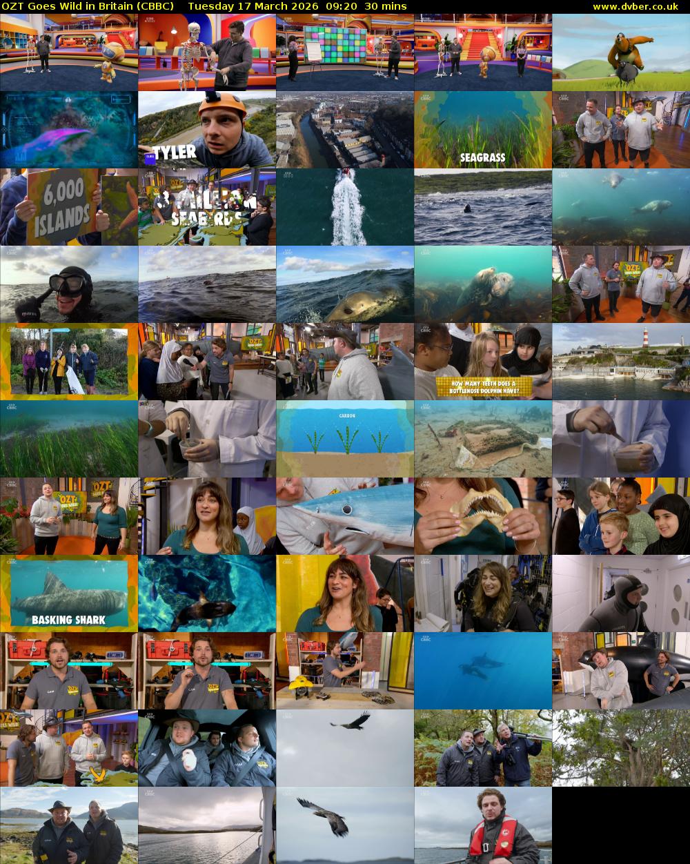 OZT Goes Wild in Britain (CBBC) Tuesday 17 March 2026 09:20 - 09:50