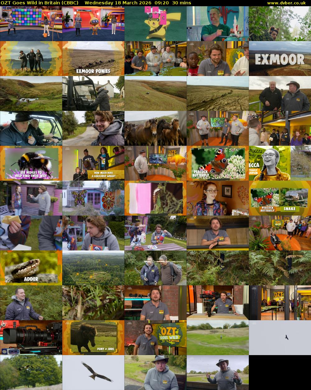 OZT Goes Wild in Britain (CBBC) Wednesday 18 March 2026 09:20 - 09:50