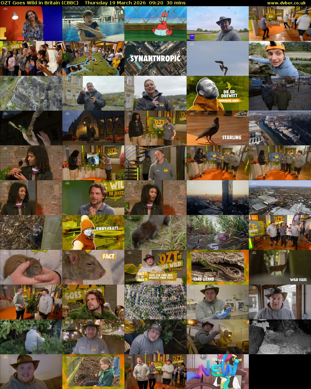 OZT Goes Wild in Britain (CBBC) Thursday 19 March 2026 09:20 - 09:50