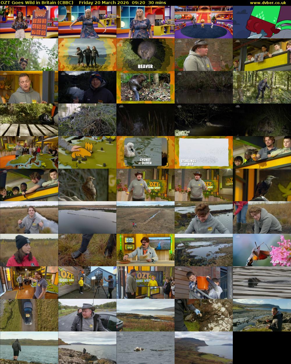 OZT Goes Wild in Britain (CBBC) Friday 20 March 2026 09:20 - 09:50