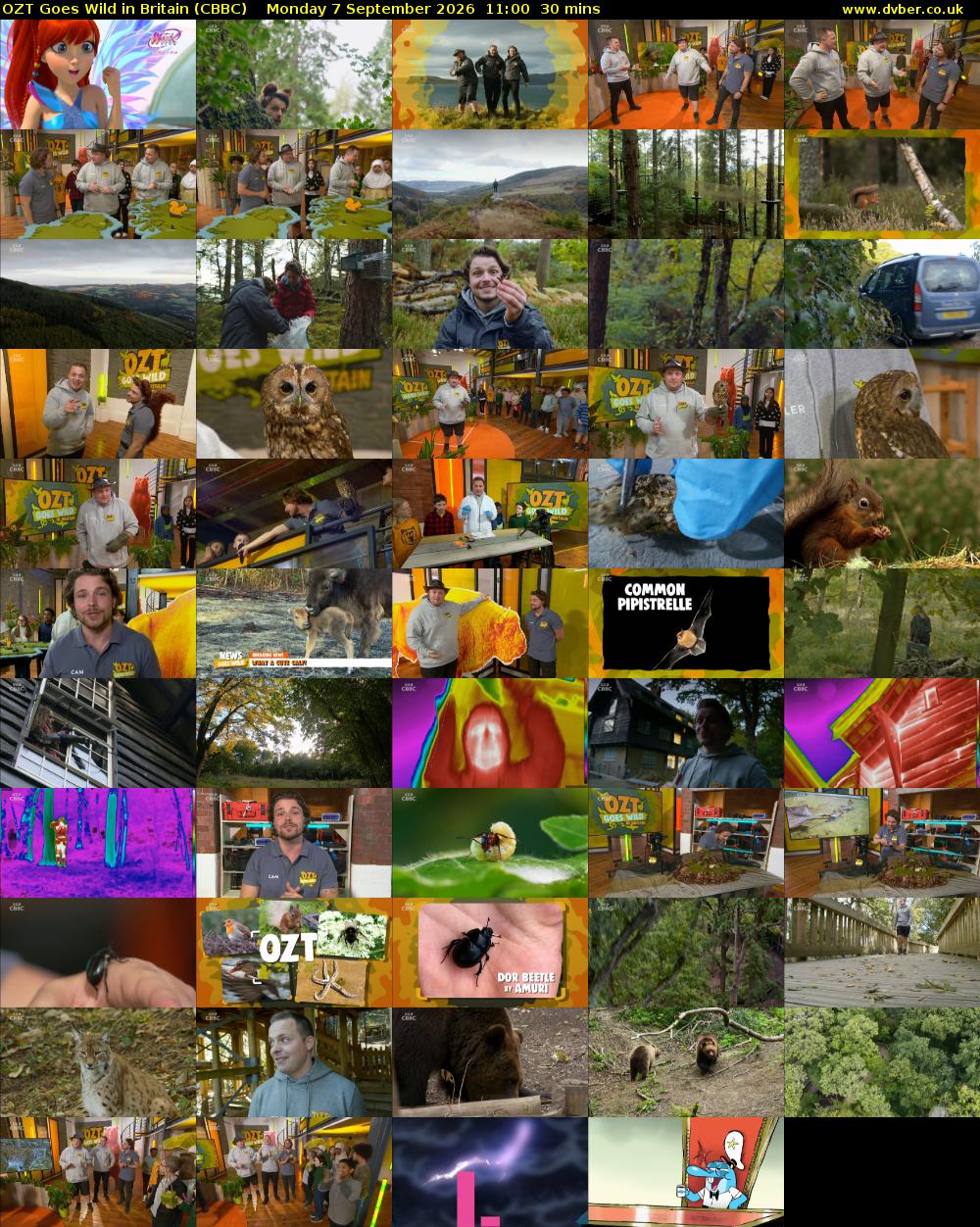 OZT Goes Wild in Britain (CBBC) Monday 7 September 2026 11:00 - 11:30