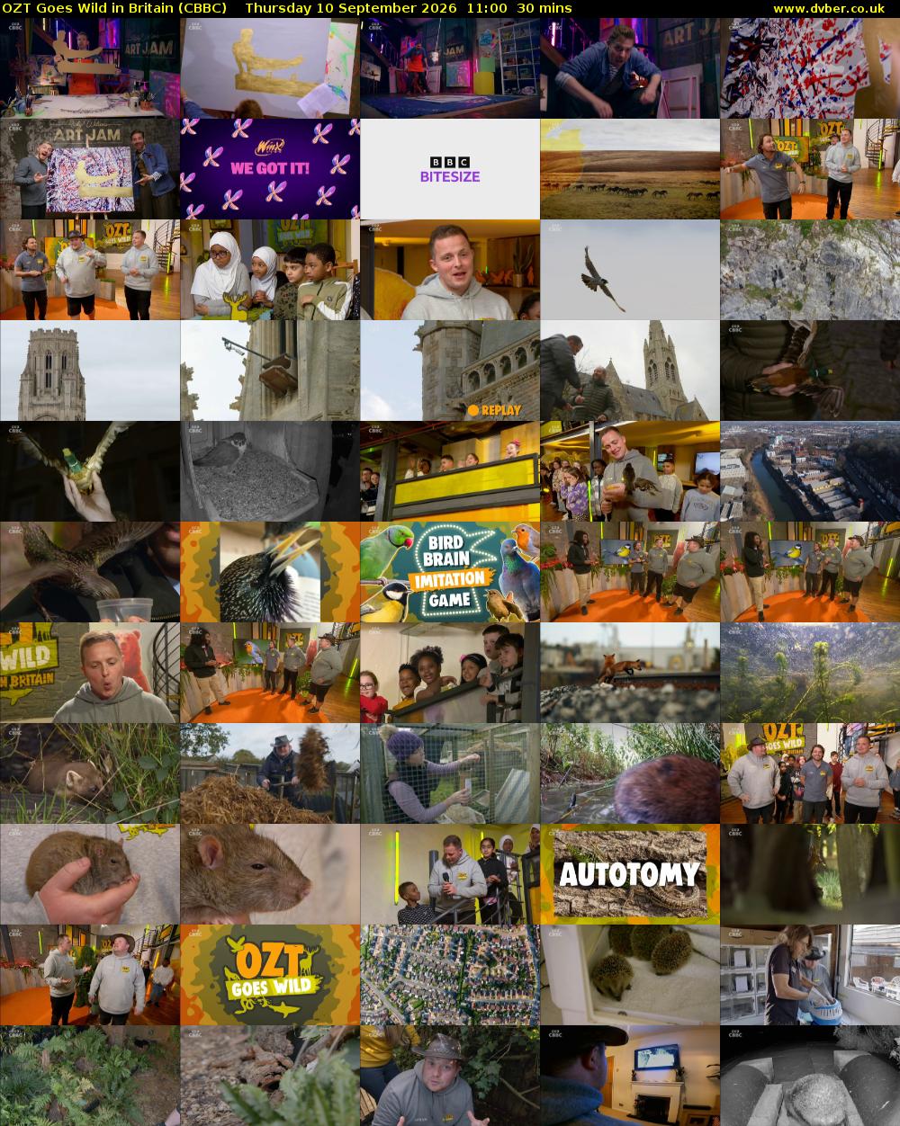 OZT Goes Wild in Britain (CBBC) Thursday 10 September 2026 11:00 - 11:30