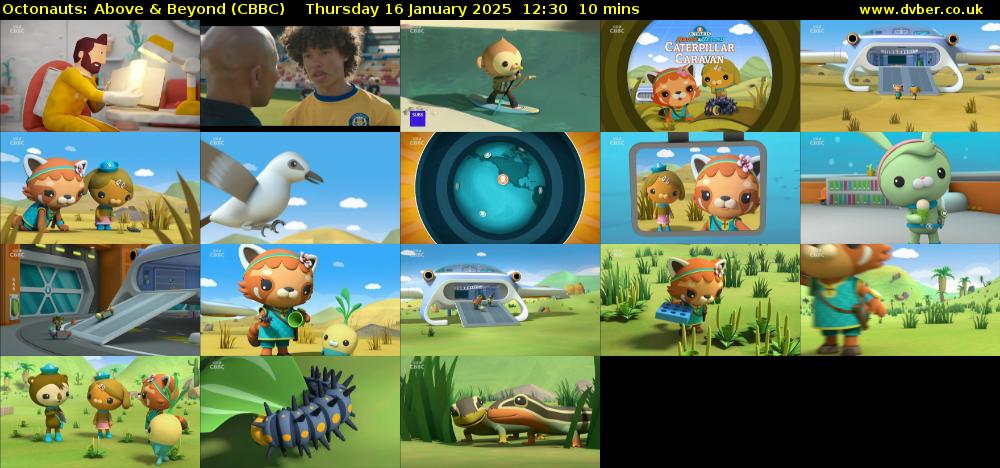 Octonauts: Above & Beyond (CBBC) Thursday 16 January 2025 12:30 - 12:40