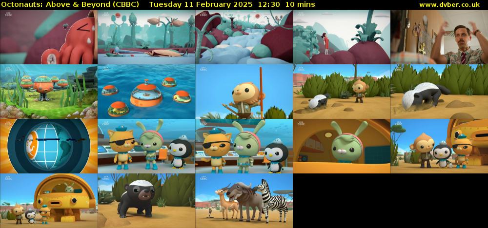 Octonauts: Above & Beyond (CBBC) Tuesday 11 February 2025 12:30 - 12:40