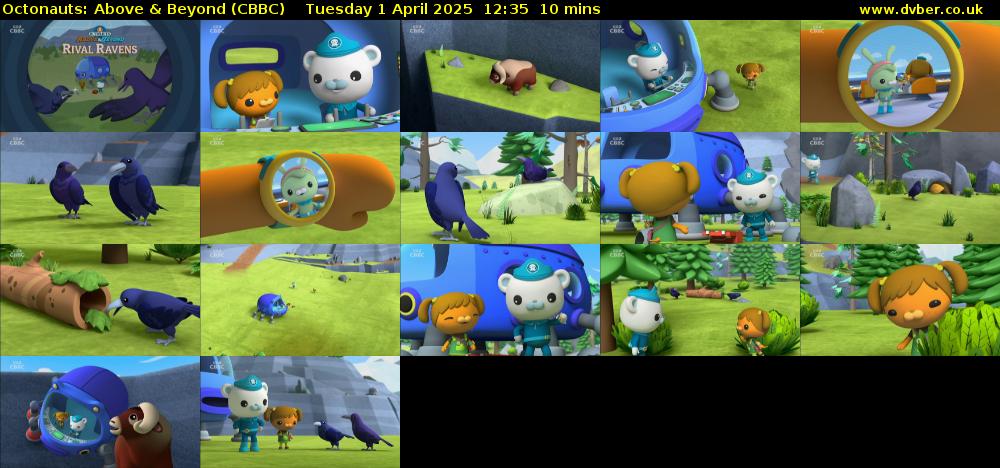 Octonauts: Above & Beyond (CBBC) Tuesday 1 April 2025 12:35 - 12:45