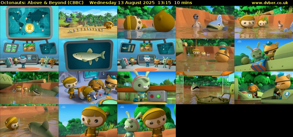 Octonauts: Above & Beyond (CBBC) Wednesday 13 August 2025 13:15 - 13:25