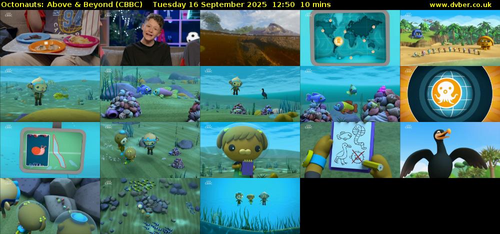 Octonauts: Above & Beyond (CBBC) Tuesday 16 September 2025 12:50 - 13:00