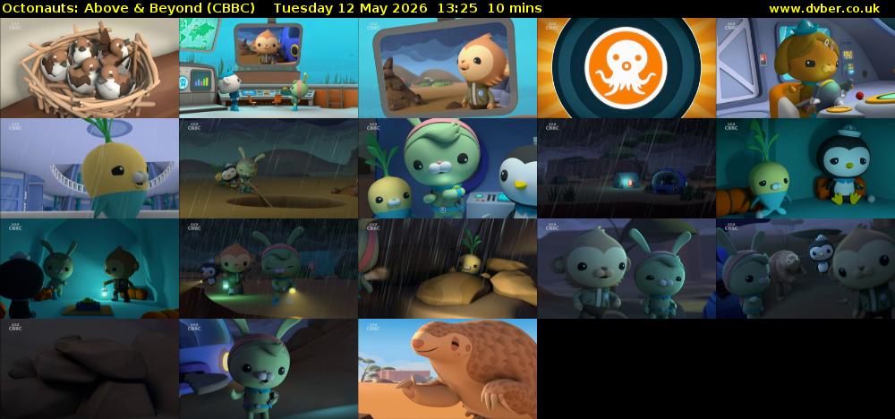 Octonauts: Above & Beyond (CBBC) Tuesday 12 May 2026 13:25 - 13:35