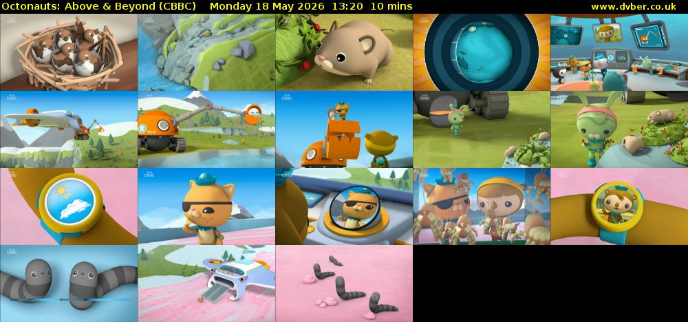 Octonauts: Above & Beyond (CBBC) Monday 18 May 2026 13:20 - 13:30