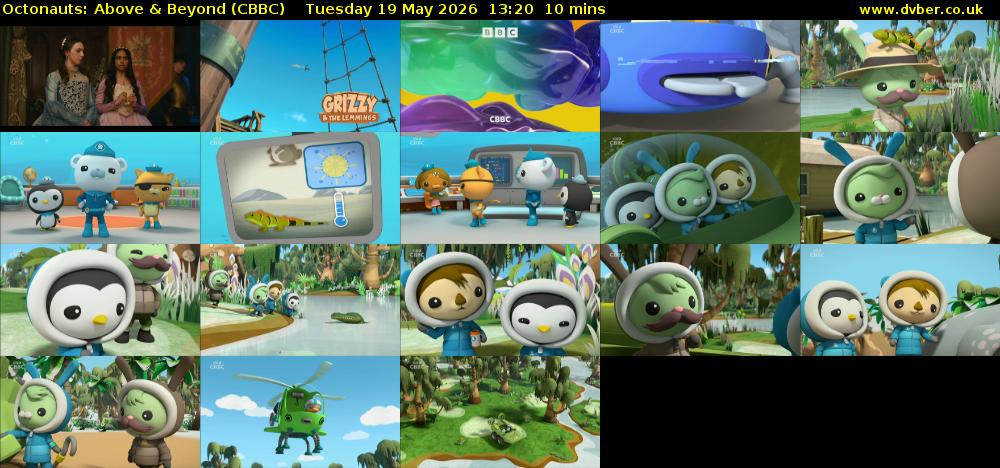 Octonauts: Above & Beyond (CBBC) Tuesday 19 May 2026 13:20 - 13:30