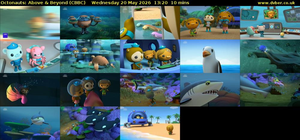 Octonauts: Above & Beyond (CBBC) Wednesday 20 May 2026 13:20 - 13:30