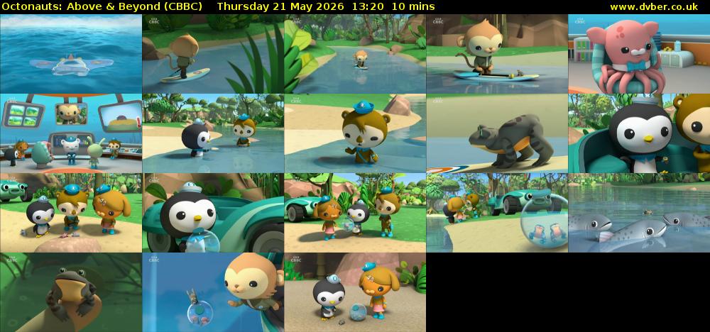 Octonauts: Above & Beyond (CBBC) Thursday 21 May 2026 13:20 - 13:30