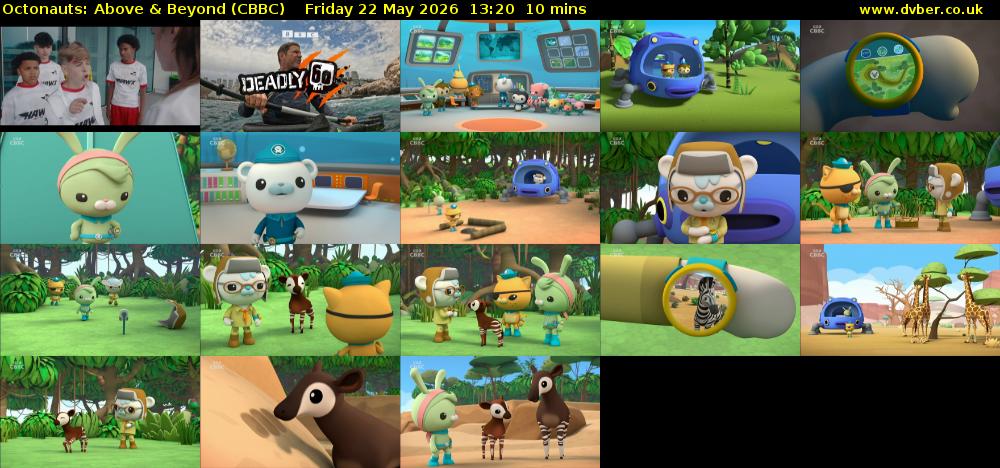 Octonauts: Above & Beyond (CBBC) Friday 22 May 2026 13:20 - 13:30