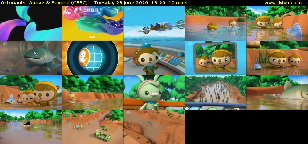 Octonauts: Above & Beyond (CBBC) Tuesday 23 June 2026 13:20 - 13:30