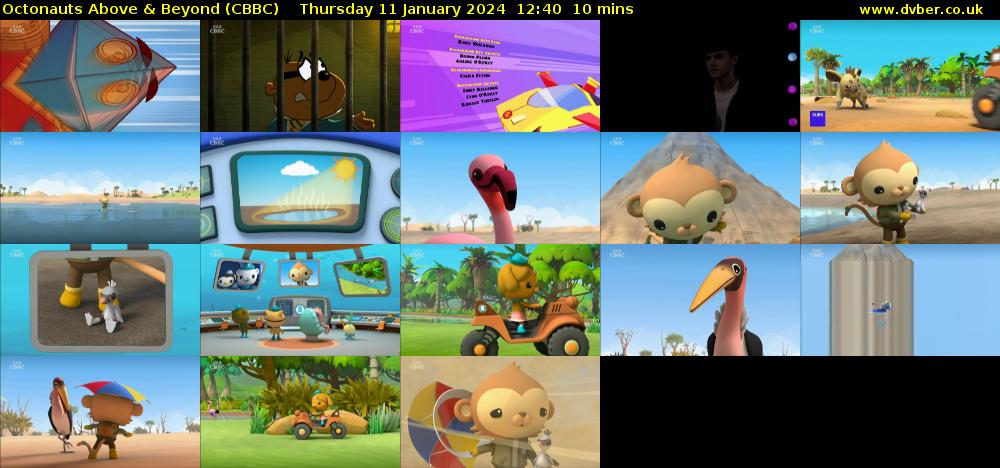 Octonauts Above & Beyond (CBBC) Thursday 11 January 2024 12:40 - 12:50