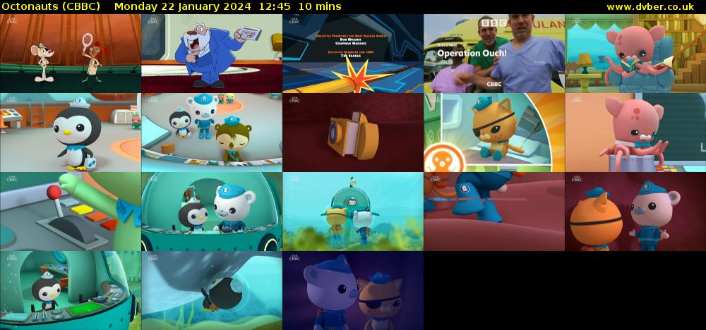 Octonauts (CBBC) Monday 22 January 2024 12:45 - 12:55