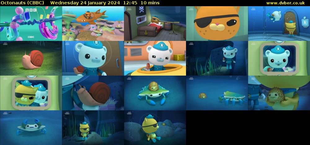 Octonauts (CBBC) Wednesday 24 January 2024 12:45 - 12:55