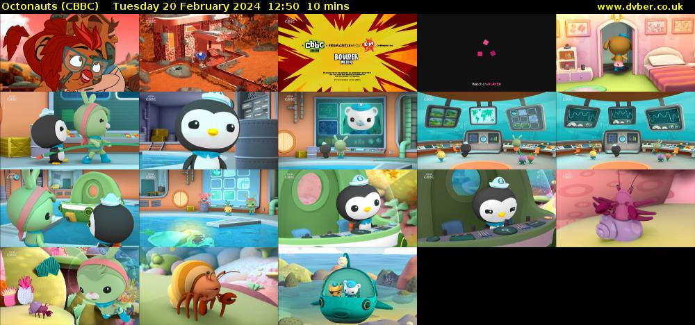 Octonauts (CBBC) Tuesday 20 February 2024 12:50 - 13:00