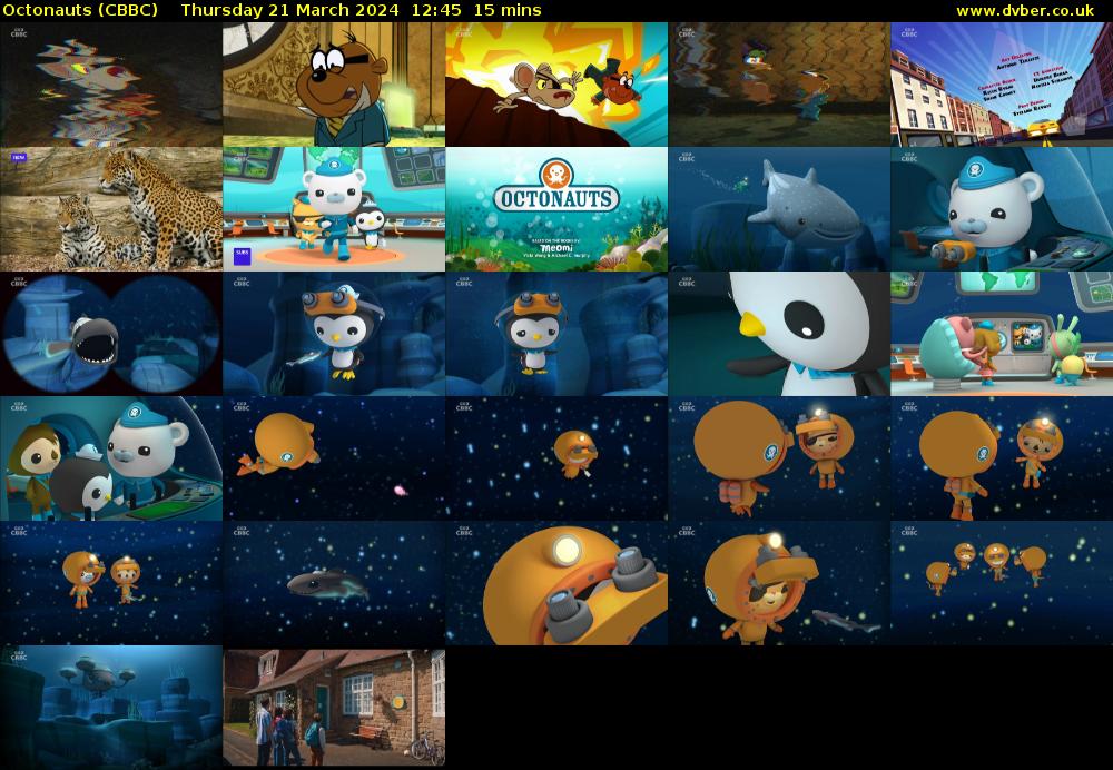 Octonauts (CBBC) Thursday 21 March 2024 12:45 - 13:00
