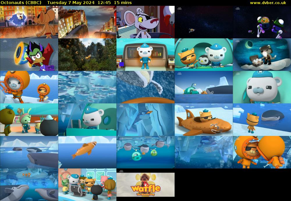 Octonauts (CBBC) Tuesday 7 May 2024 12:45 - 13:00