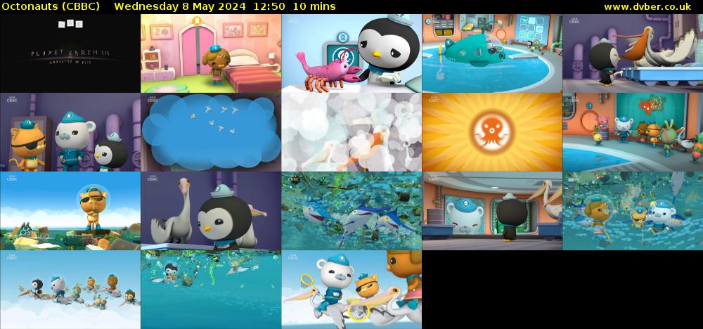 Octonauts (CBBC) Wednesday 8 May 2024 12:50 - 13:00