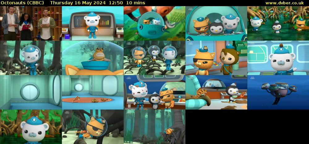 Octonauts (CBBC) Thursday 16 May 2024 12:50 - 13:00