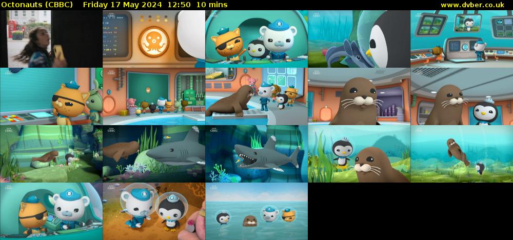Octonauts (CBBC) Friday 17 May 2024 12:50 - 13:00