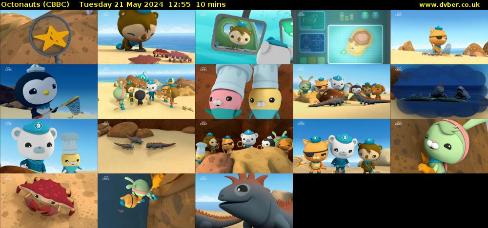 Octonauts (CBBC) Tuesday 21 May 2024 12:55 - 13:05