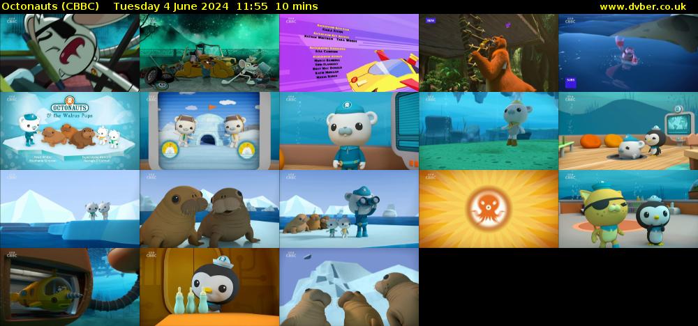 Octonauts (CBBC) Tuesday 4 June 2024 11:55 - 12:05