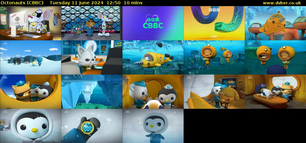 Octonauts (CBBC) Tuesday 11 June 2024 12:50 - 13:00