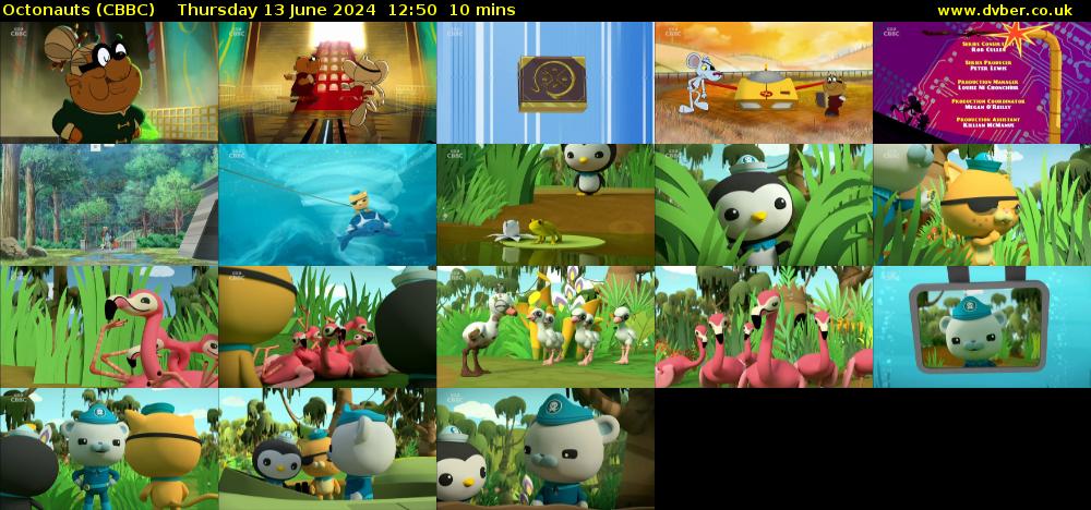 Octonauts (CBBC) Thursday 13 June 2024 12:50 - 13:00