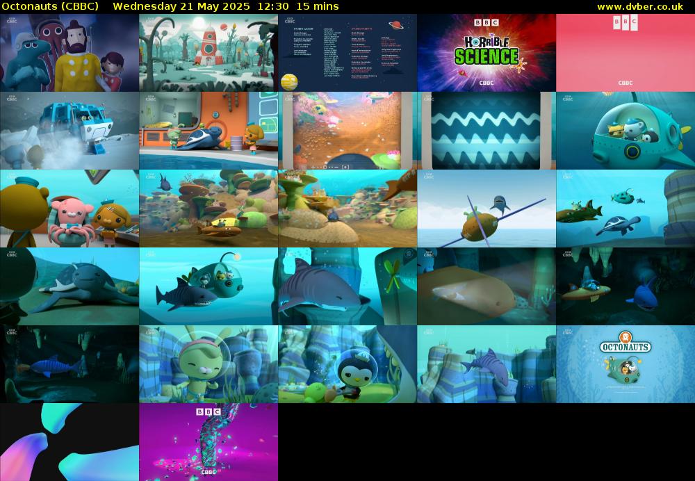 Octonauts (CBBC) Wednesday 21 May 2025 12:30 - 12:45