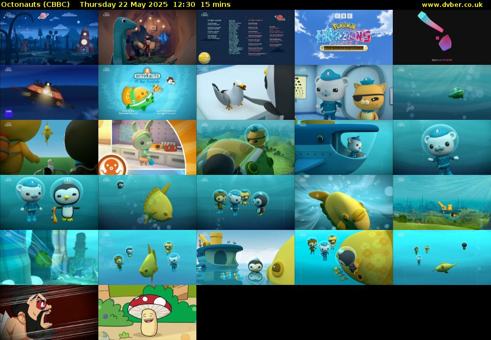 Octonauts (CBBC) Thursday 22 May 2025 12:30 - 12:45