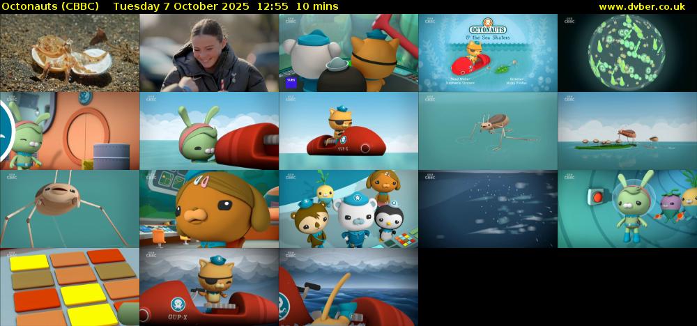 Octonauts (CBBC) Tuesday 7 October 2025 12:55 - 13:05