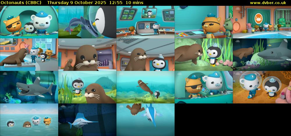 Octonauts (CBBC) Thursday 9 October 2025 12:55 - 13:05