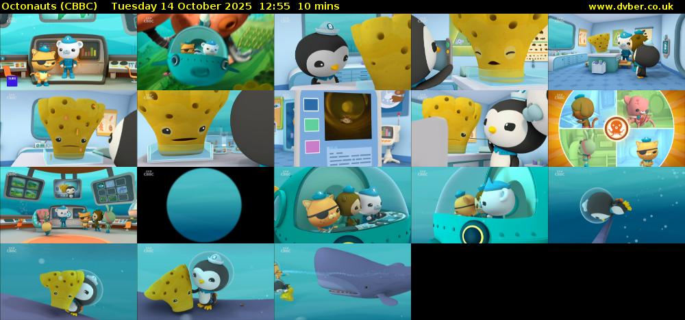 Octonauts (CBBC) Tuesday 14 October 2025 12:55 - 13:05