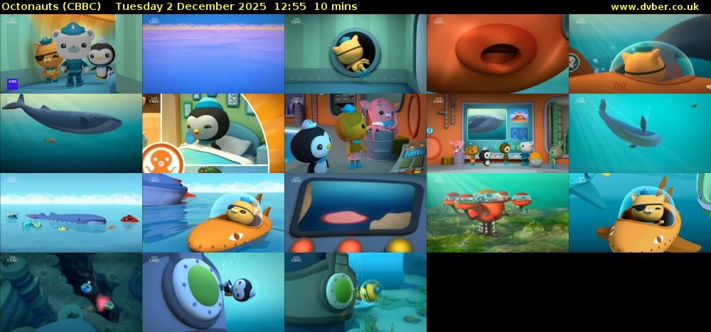 Octonauts (CBBC) Tuesday 2 December 2025 12:55 - 13:05