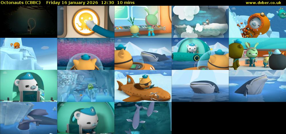 Octonauts (CBBC) Friday 16 January 2026 12:30 - 12:40