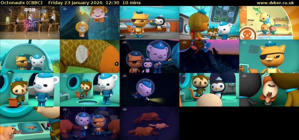 Octonauts (CBBC) Friday 23 January 2026 12:30 - 12:40
