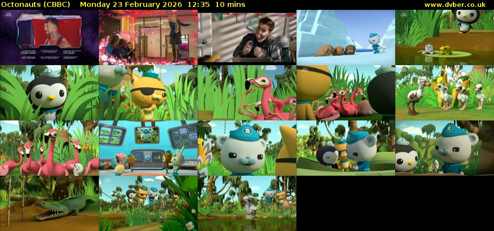 Octonauts (CBBC) Monday 23 February 2026 12:35 - 12:45