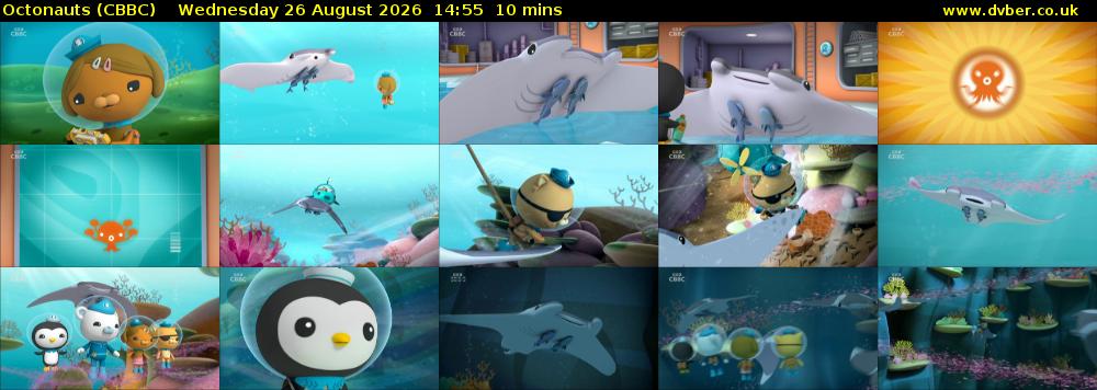 Octonauts (CBBC) Wednesday 26 August 2026 14:55 - 15:05