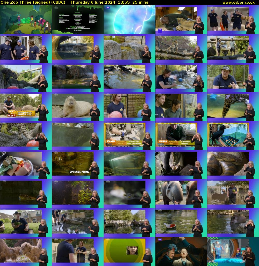 One Zoo Three (Signed) (CBBC) Thursday 6 June 2024 13:55 - 14:20