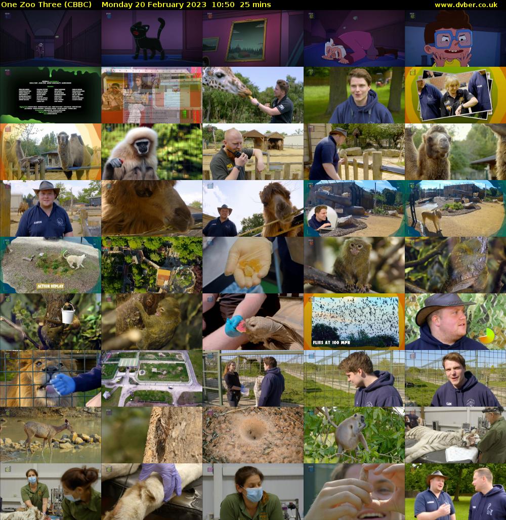 One Zoo Three (CBBC) Monday 20 February 2023 10:50 - 11:15