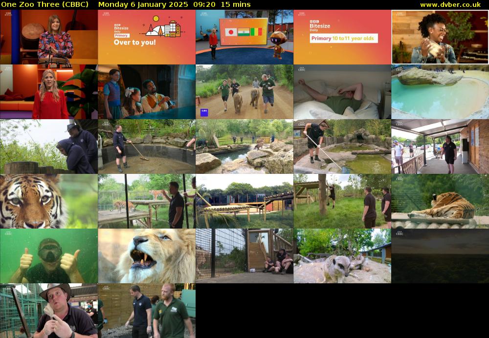 One Zoo Three (CBBC) Monday 6 January 2025 09:20 - 09:35