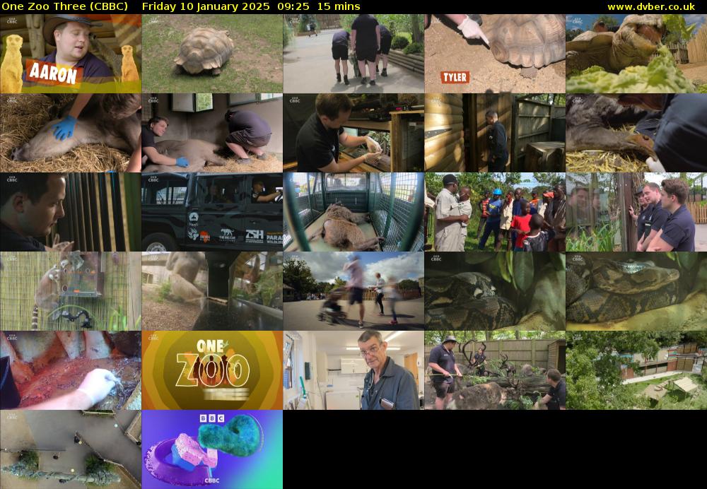 One Zoo Three (CBBC) Friday 10 January 2025 09:25 - 09:40