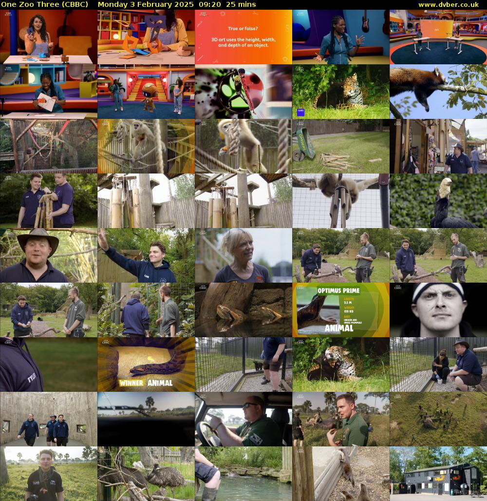 One Zoo Three (CBBC) Monday 3 February 2025 09:20 - 09:45
