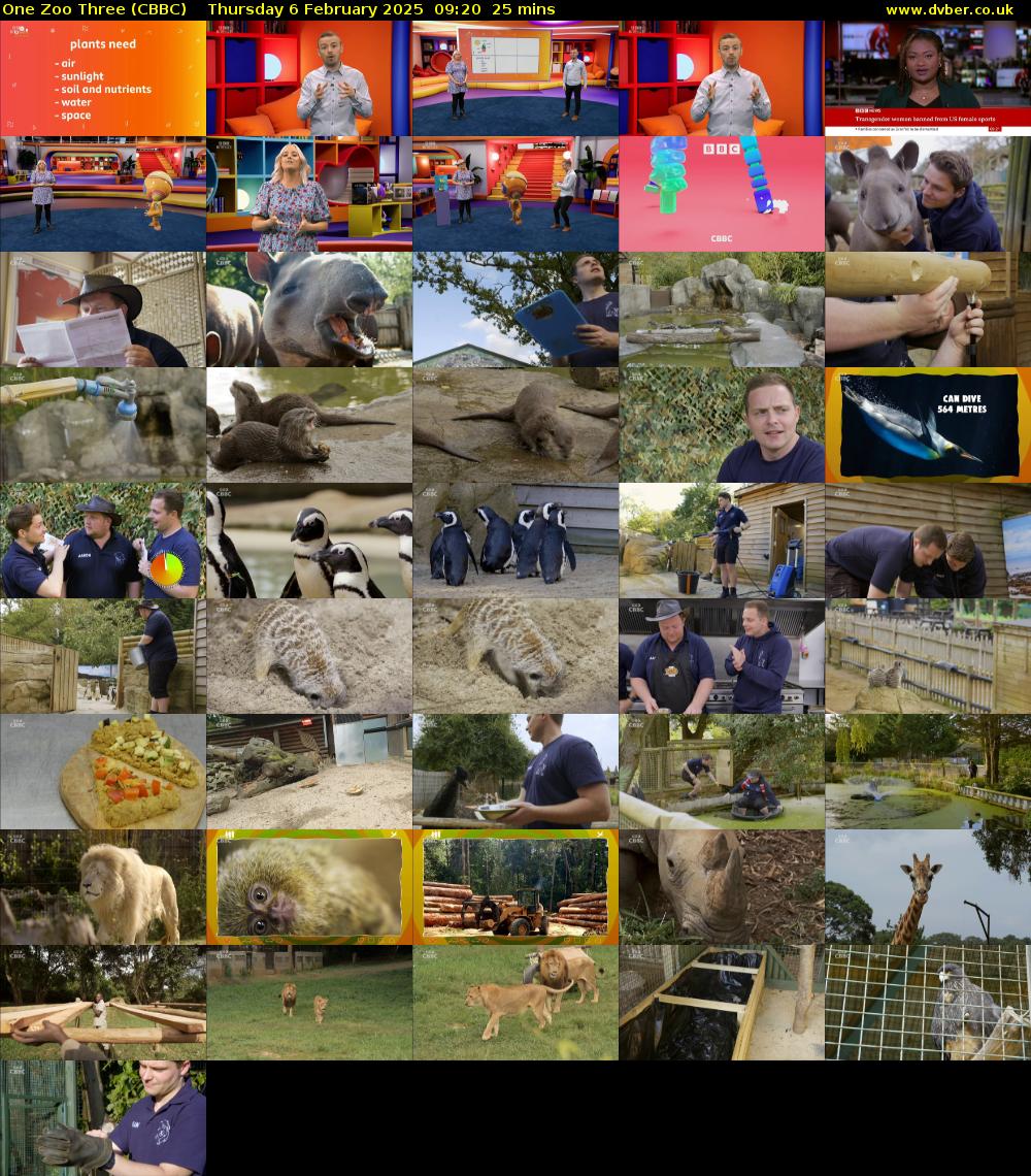 One Zoo Three (CBBC) Thursday 6 February 2025 09:20 - 09:45