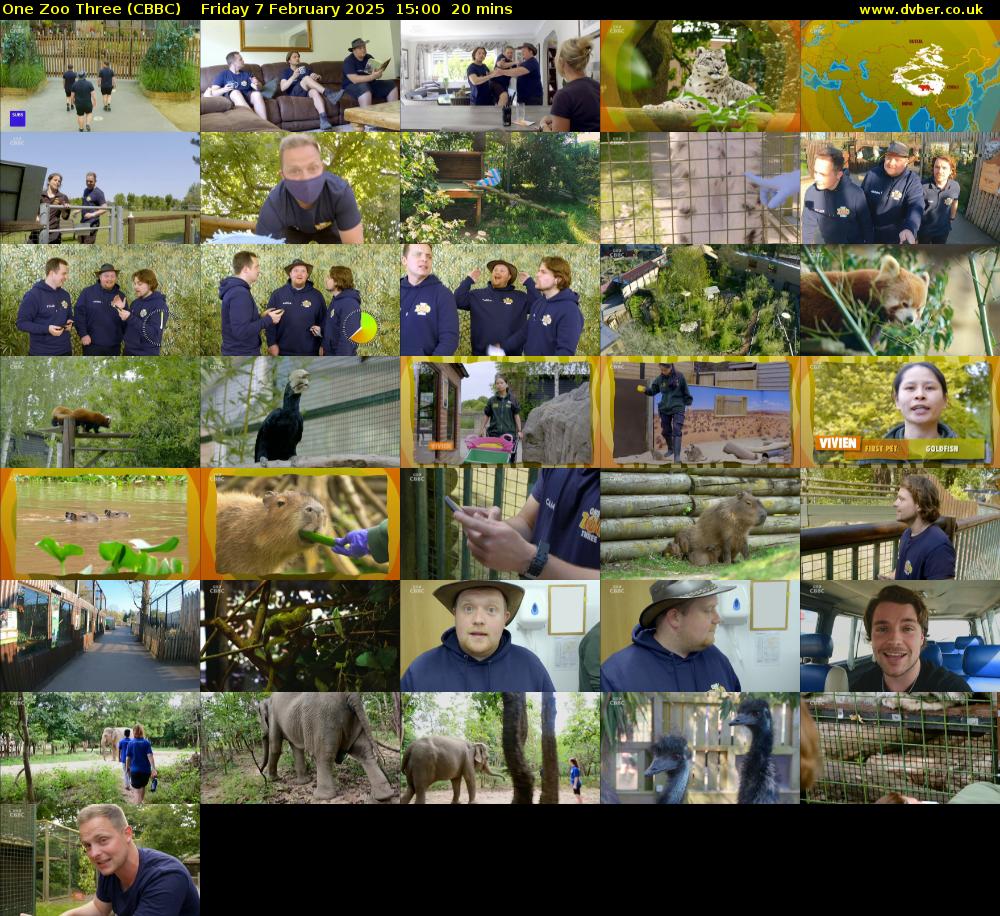 One Zoo Three (CBBC) Friday 7 February 2025 15:00 - 15:20