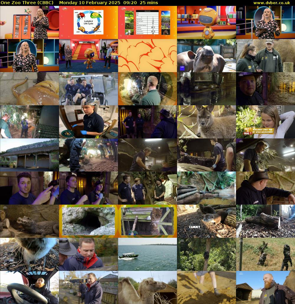 One Zoo Three (CBBC) Monday 10 February 2025 09:20 - 09:45